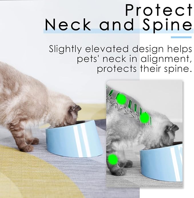 SuperDesign Mess Free 15° Slanted Bowl for Dogs and Cats, Tilted Angle Bulldog Bowl Dog Feeder, Non-Skid & Non-Spill, Easier to Reach Food M/1 Cup Blue