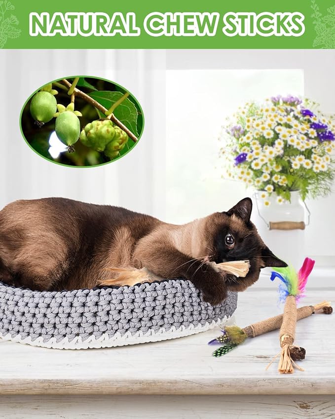 TINDTOP 15 Pack Silvervine Chew Sticks, Natural Catnip Chew Toys for Kittens Teeth Cleaning, Matatabi Dental Care, Increase Appetite, Calm Cat Anxiety and Stress