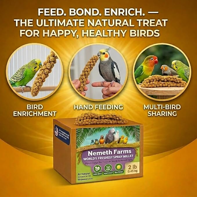 Nemeth Farms Spray Millet - Edible Tops Only, Non-GMO and Sun-Dried - 2 lbs for Cockatiels, Lovebirds and Budgies