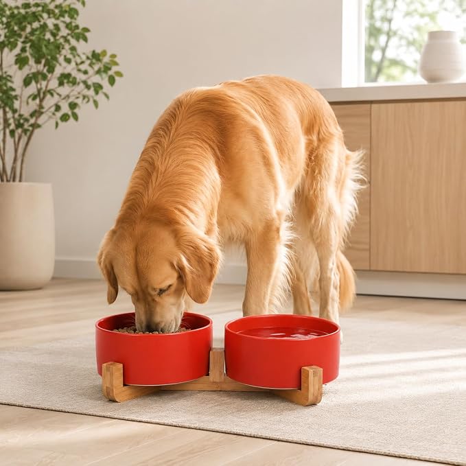 Petygooing Ceramic Cat Dog Bowl Set with Stand,Pet Food and Water Dishes,Medium Dog Bowls Anti -Slip Set of 2 Cat Dish Pet Food Bowls- Small Medium Size Pet (28OZ/6.1 in) Rust Red