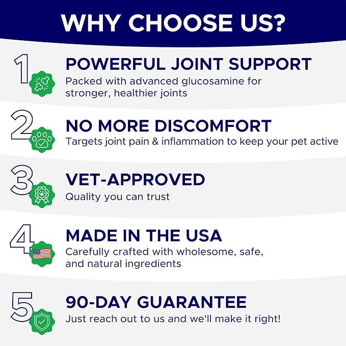 Dog Joint Supplement Large Breed - Glucosamine & Chondroitin Treats for Dogs - Supplement w/Omega-3, MSM - Made in USA - Joint Pain Relief - 240 Mobility Chews