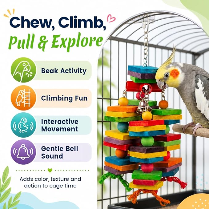 2 Pack Bird Toys Natural Wood Bird Chewing Toy with Heavy-Duty Stainless Steel Chain for Small to Medium Parrot, Cockatiel, African Grey, Amazon Parrot, Conure Bird Cage Accesso