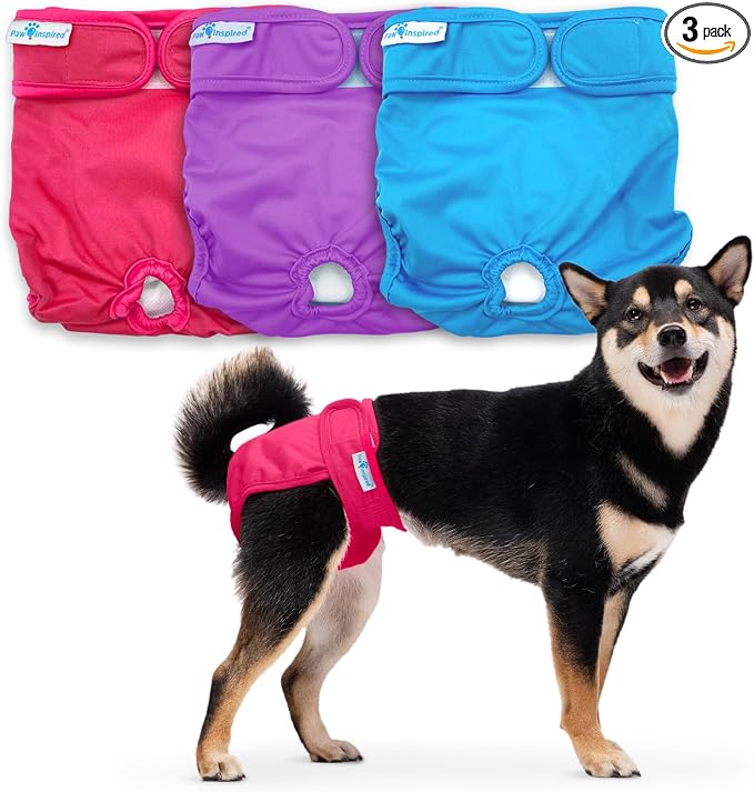 Paw Inspired Washable Reusable Dog Diapers Female, Cloth Dog Diapers, Dogs in Heat, Dog Incontinence (Assorted (White Lining), Medium (3 Ct.))
