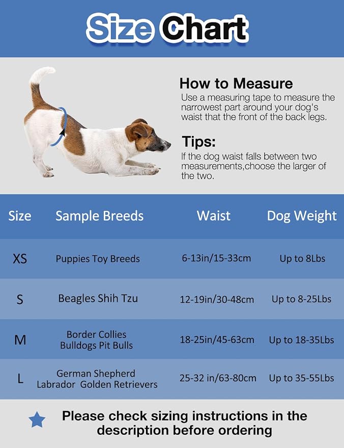 Dono Disposable Male Dog Diapers, Super Absorbent Male Dog Wraps for Small to Large Dogs, 360° Leak-Proof with Wetness Indicator,M,24PCS