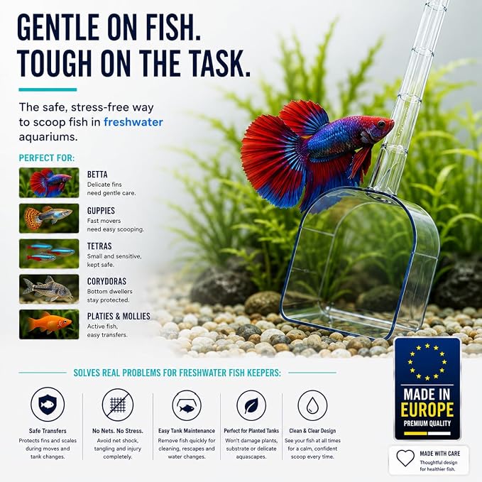 Fish Scooper, Acclimation Container, Fish Trap, Floating Fish Net, Axolotl Tank Accessories, Aquarium Cleaning Tools, Photography, Tool, Aquarium Accessories, Breeder Box