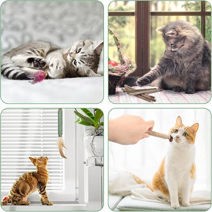 Bissap 16 PCS Silvervine Chew Sticks for Cats, Catnip Chew Sticks Cat Toys for Indoor Cat Kitten Teeth Grinding Interactive Feather Toys for Aggressive Chewers Dental Care