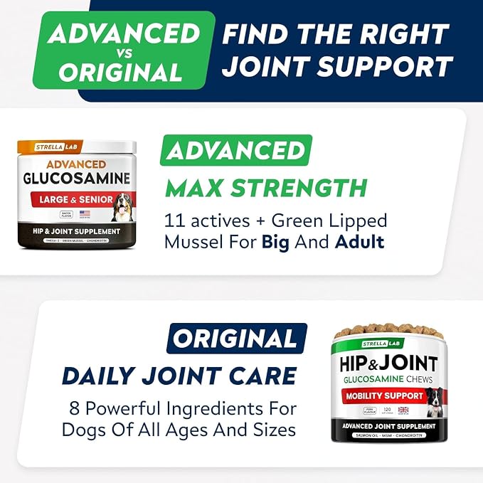Advanced Glucosamine Hip & Joint Supplement for Senior Dogs - Green Lipped Mussel & Collagen - Hip & Joint Pain Relief - Large & Small Breed - Joint Health - Bacon - 240 Chews
