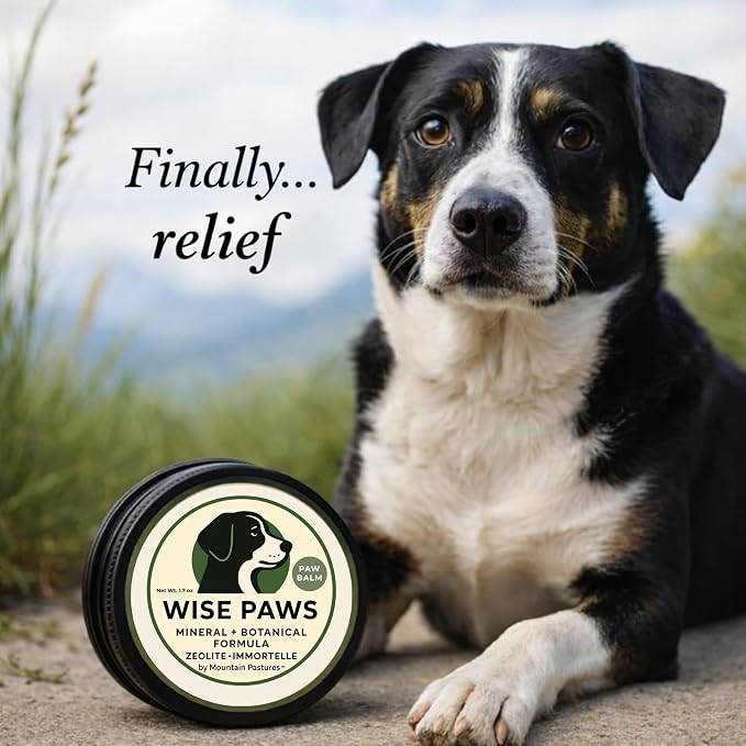 Advanced Formula Dog Paw Balm for Hot Pavement, Grass & Rough Terrain – Zeolite Powder Pawtection for Burnt, Irritated, Dry Cracked Paws – Natural Paw Care with Immortelle – Wooden Applicator – 1.7 oz
