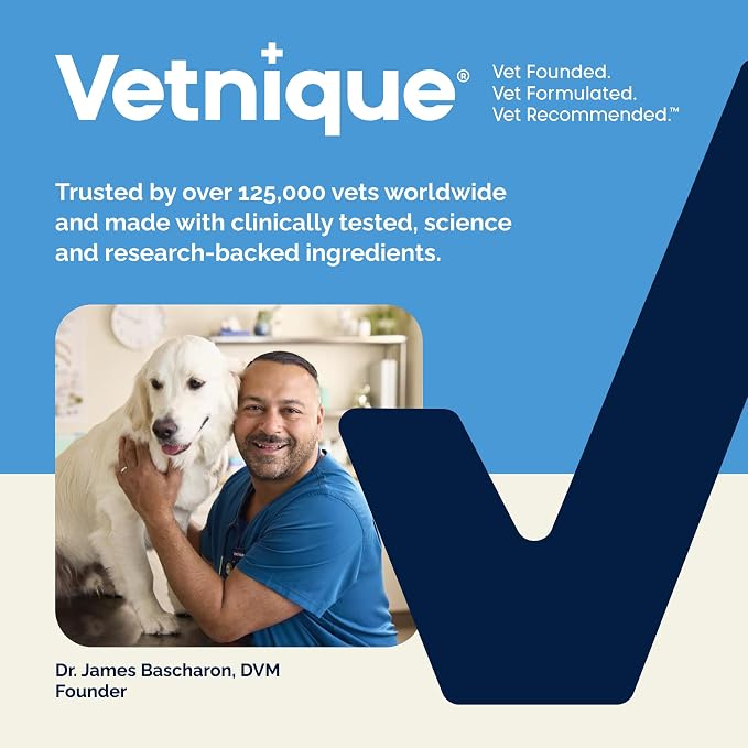 Vetnique Glandex Rapid Digestive Support for Dogs with Loose Stool | Diarrhea - Probiotics and Pumpkin for Dogs to Help Firm Dog Poop - 25 Chicken Flavored Soft Chews (25ct, Anti-Diarrhea)