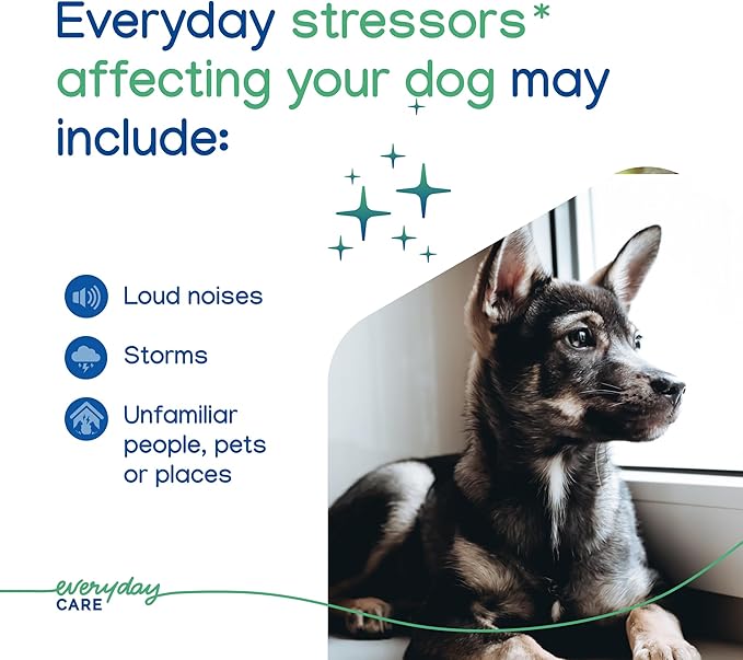 Virbac ZENIDOG® Gel Diffuser | Dog Calming Pheromone Diffuser for Stress Relief No Electricity Required and Lasts up to 2 Months