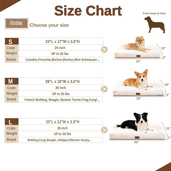 Orthopedic Dog Bed with Firm High-Density Egg Crate Foam, Machine Washable Cover & Non-Slip Bottom for Medium Breeds (Beige, 29" L x 18" W x 3" H)