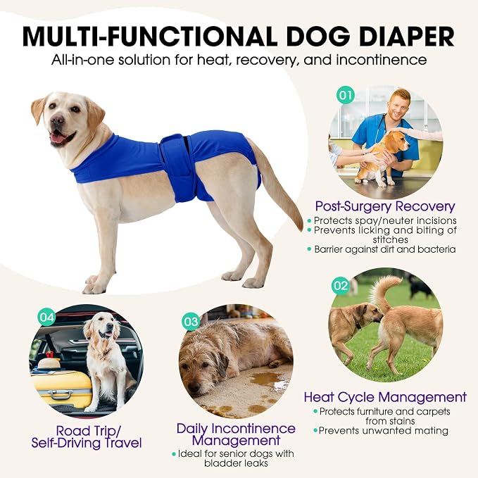 Dog Diapers for Female Dogs, Washable Reusable Female Dog Diapers, Leak Proof Doggie Underwear Sanitary Pants for Heat Cycle, Incontinence and Puppy Training, Adjustable Belly Bands - Blue L