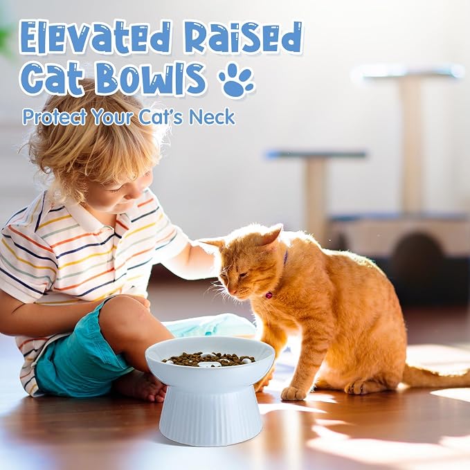 Tioncy 2 Pcs Raised Cat Slow Feeder Bowl Ceramic Elevated Cat Dog Food Bowl No Spill High Edge for Dry Wet Food and Water Easy to Clean, Dishwasher Safe (White,Blue)