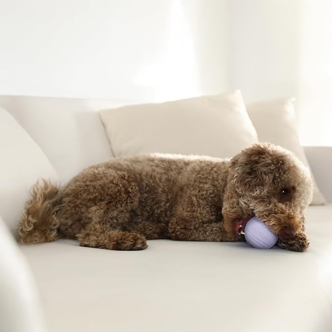 Playology Dog Toys | Dual Layer Ball Durable Chew Toy for Tough Chewers | Lamb Scented Medium Dog Toy | Chew Toys for Dogs