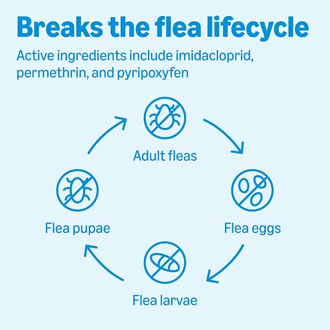 Amazon Basics Flea, Tick & Mosquito Topical Treatment & Prevention for Medium Dogs (11-20 pounds), Fast-Acting, Kills Fleas, Eggs & Larvae, 30 Day Protection, 6 Count, Packaging May Vary