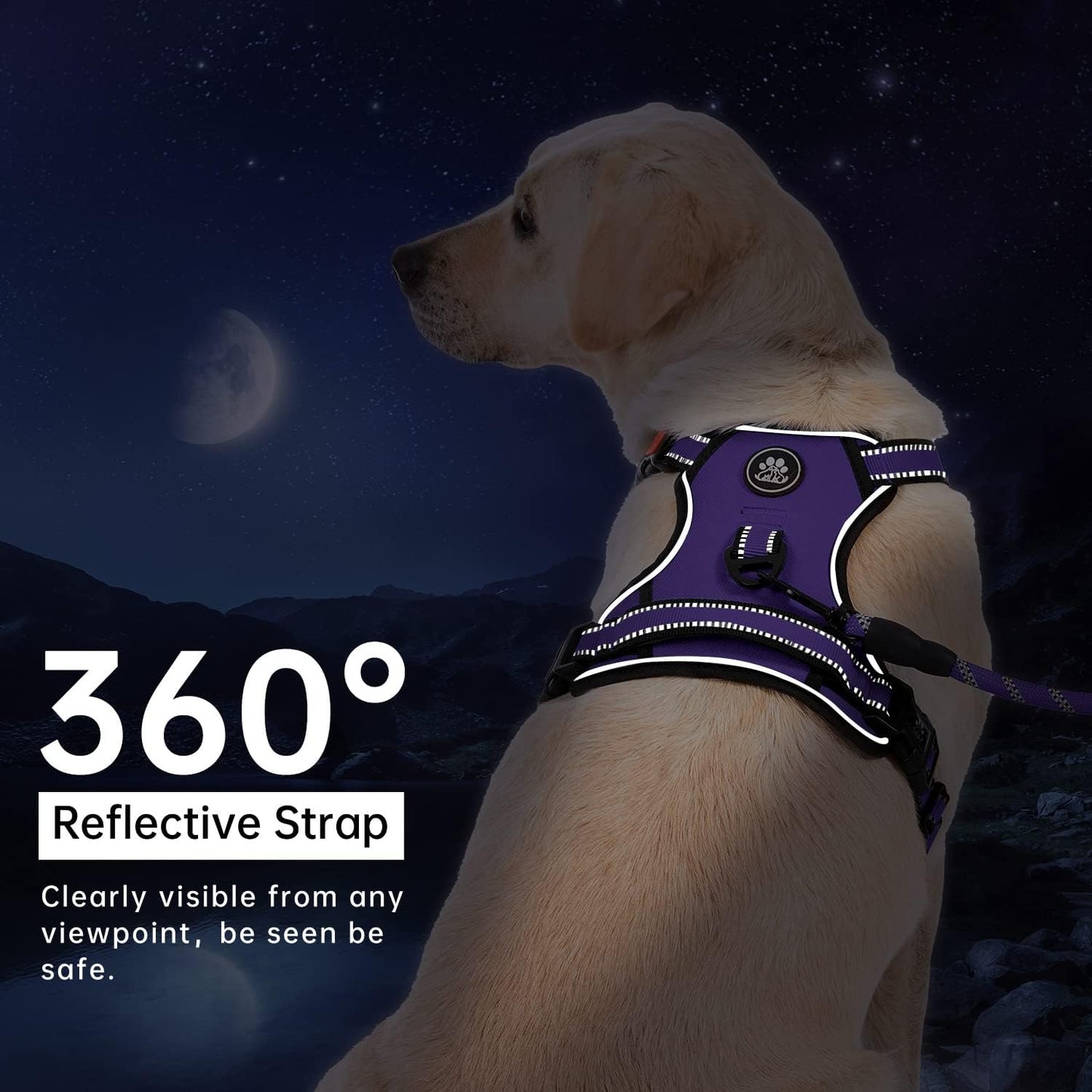 IVY&LANE No Pull Dog Harness for Large Dogs, Dog Vest Harness with Leash, Safety Belt and Storage Strap, Fully Adjustable Harness, 360° Reflective Strip, Soft Handle (Purple, XL)