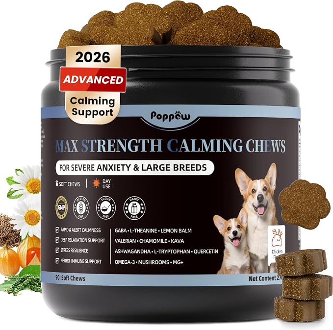 Calming Chews for Dogs - Advanced Calming Treats for Dogs Anxiety, Stress, Separation, & Thunder, Relaxation with Ashwagandha & L-Theanine, Non-Drowsy Alternative to Melatonin, Chicken Flavor, 90Ct