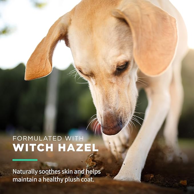 Wet Ones for Pets Extra Gentle Dog Wipes with Witch Hazel - Fragrance-Free, Hypoallergenic Pet Grooming Wipes for Snout, Eye, and Ear Areas, Sensitive Skin, 30 Count - 2 Pack