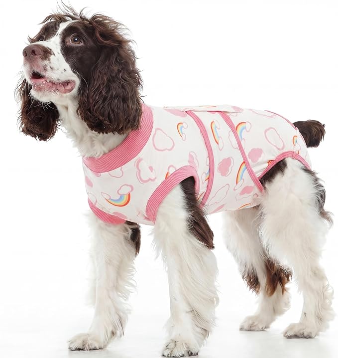 Kuoser Dog Surgery Recovery Suit, Soft Breathable Dog Recovery Suit for Female Spay Male Nueuter, Anti Licking Puppy Onesie Pet Surgical Suit for Dogs Abdominal Wounds Skin Disease, Rainbow L