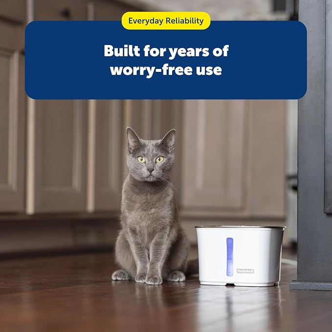 PetSafe Viva Cat Water Fountain (64oz/1.8L) Indoor Water Dispenser for Cats and Small Dogs, Stainless-Steel Bowl with Whisper Quiet Pump, Dishwasher Safe, Easy to Clean, Water Filters Included