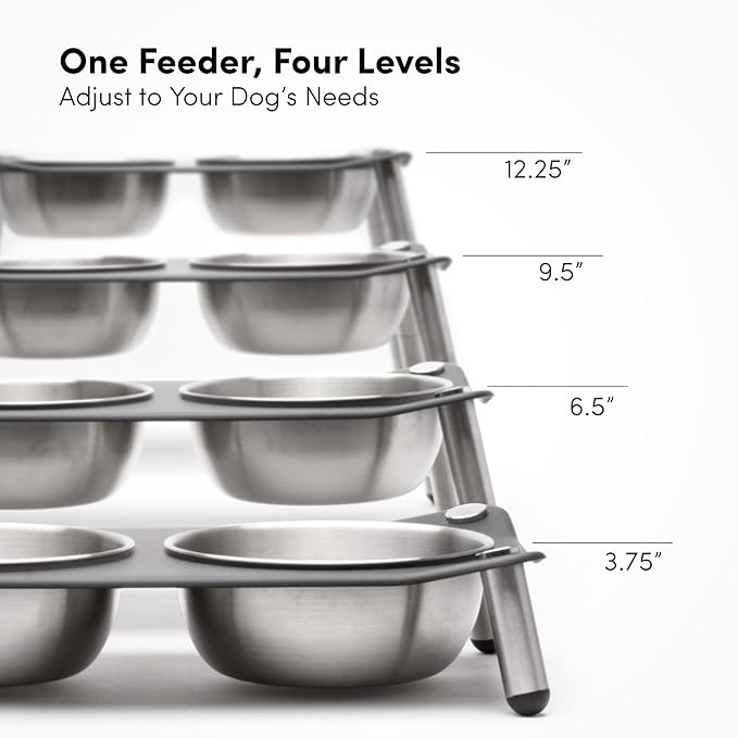 xympo Adjustable Elevated Dog Bowl 56 fl oz Stainless Steel Bowls