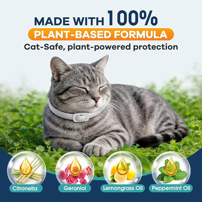 Flea and Tick Collar for Cats 5 Pack, 8 Months Protection, Plant-Based Ingredients, Water-Resistant, Adjustable & Lightweight, Suitable for Adult Cats & Kittens, White