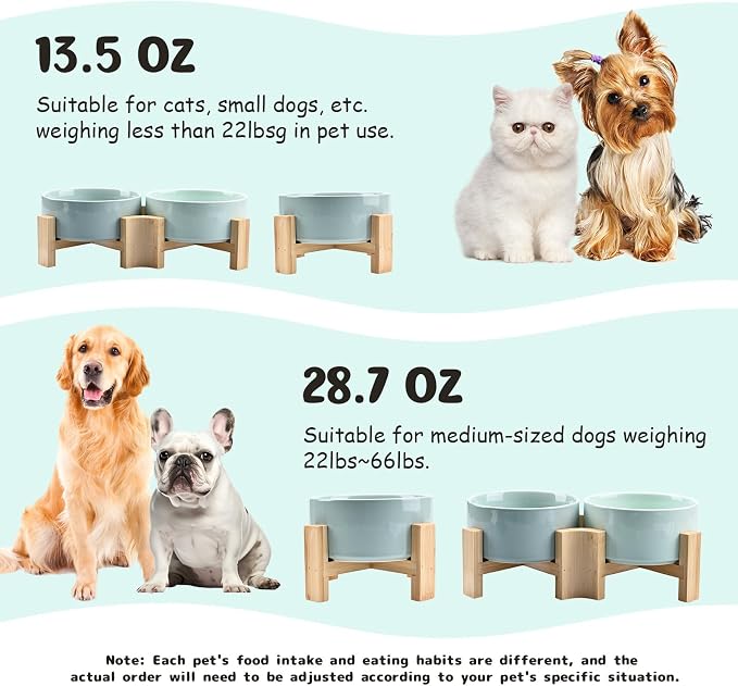 SPUNKYJUNKY 15° Slanted Ceramic Dog and Cat Bowl with Wooden Stand, Tilted Bulldog Food and Water Bowl No Slip Non-Spill for Cats Medium Dogs Big Face Pets 28.7 OZ (3.6 Cups, Morandi Green × 2)