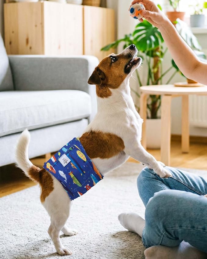 CuteBone Dog Diapers Male 4 Pack Puppy Wraps Reusable Doggie Belly Bands for Male Dogs Small Medium Large