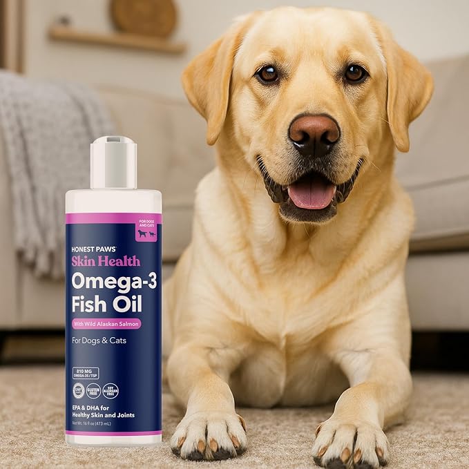 Honest Paws Salmon Oil for Dogs & Cats – Omega 3 Fish Oil Supplement for Skin, Coat, Joint & Heart Health – Natural, Sustainably Sourced Wild Alaskan Salmon, 16 oz (Pack of 2)