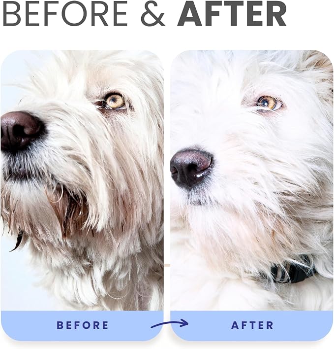 Lillian Ruff PRO Formula Berry Blue Brightening Dog Shampoo + Blueberry Waterless Dog Shampoo - Professional Whitening, Tear Stain Remover & No-Rinse Hydrating Odor Control, Aloe+Coconut Oil, USA Made