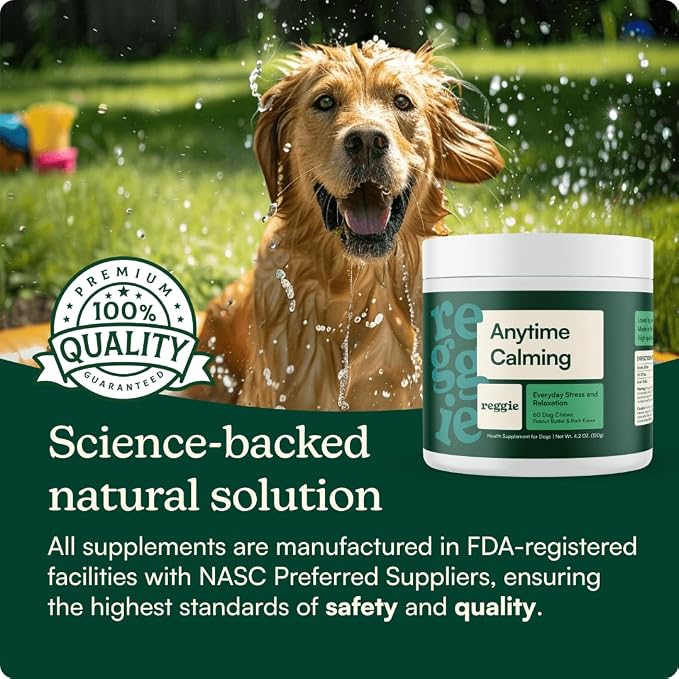 Reggie Anytime Calming Chews for Dogs | Dog Anxiety Relief with L-Theanine & Magnolia Barks | Dog Calming Treats for Separation Anxiety, Thunderstorms, Travel & Stress | 60 Soft Chews