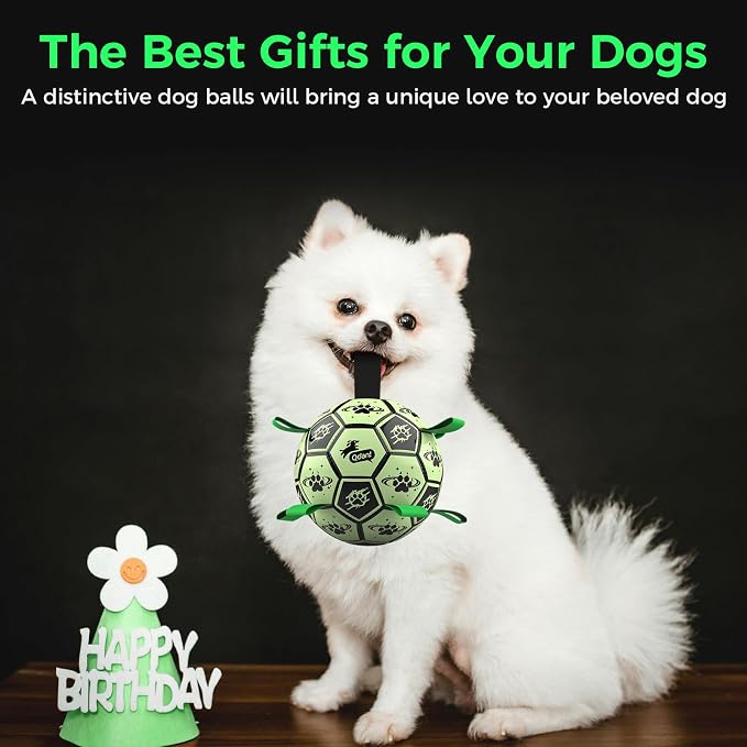 QDAN Glow in the Dark Dog Ball, Light Up Dog Toys, Luminous Glow Soccer Ball for Dogs, Outdoor Dog Toys, Doggy Water Toy, Puppy Birthday Gifts for Small Medium (6 Inch)