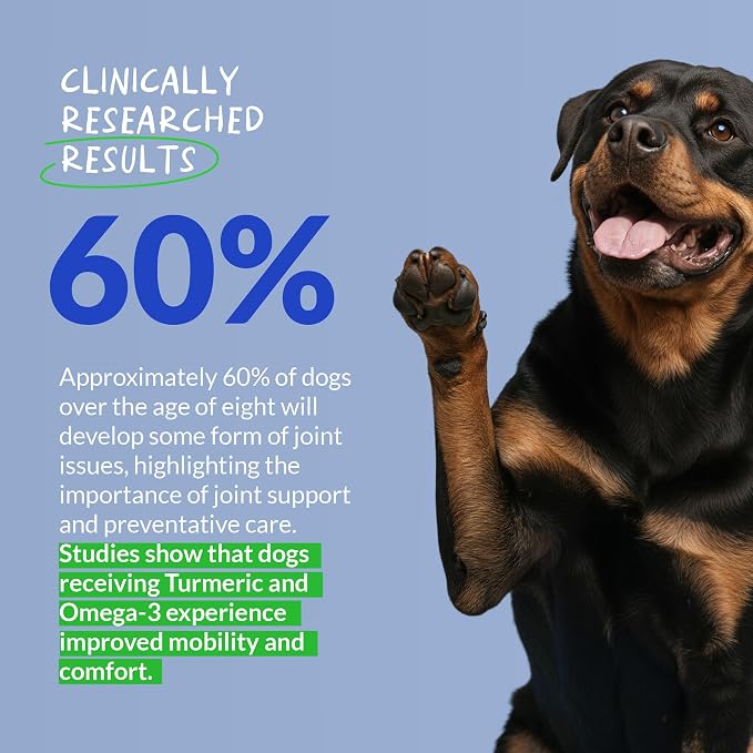 Turmeric for Dogs 90 Soft Chews - Joint, Anti-Inflammatory & Collagen | Turmeric with Curcumin, BioPerine, Collagen & Fish Oil. Supports joint health & eases inflammation and promotes mobility.
