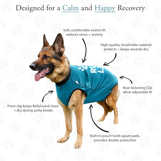 BellyGuard Dog Surgery Recovery Suit, Post-Op Dog Recovery Suit for Female Spay & Male Neuter, Comfy Onesie for Pets, Surgical Body Cover for Canine Healing Support