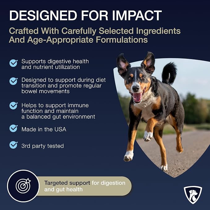 NutraRegen Dog Digestive and Immune Support Bundle | Mushroom & Probiotic Powder Supplements to Support Daily Wellness, Comfort, and Gut Balance, 7 Bn CFU | 60 Scoops, 4.0 oz