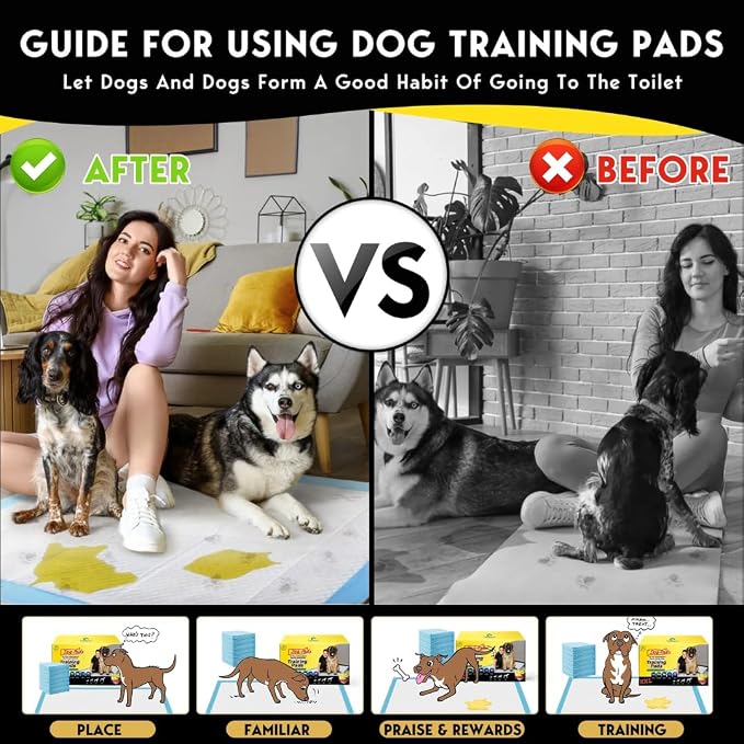 XXL Dog Training Pads – 30" x 36", 100 Count | Extra-Large Puppy Pee Pads, Super Absorbent, Leak-Proof, Odor Control Disposable Pet Pads for Housebreaking, Senior Dogs, Indoor Use
