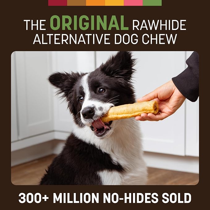 Earth Animal No Hide Chews - Long Lasting Rawhide Free Medium Dog Chews Rolls, Pork - 2 Count