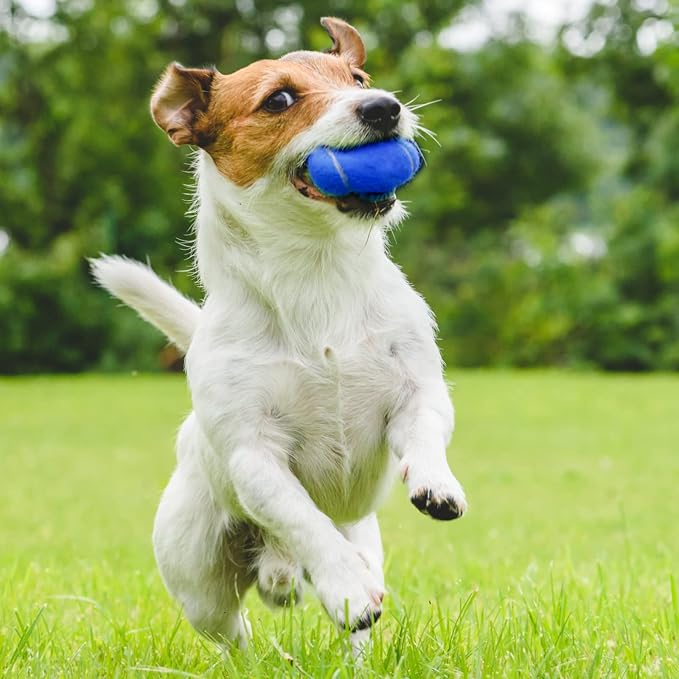 Vinsot 24 Pack Tennis Balls Bulk, Standard Pressure Balls for Training Playing Player Beginner Youth, Exercise Ball for Pet Dog, 2.5 Inch(Blue)