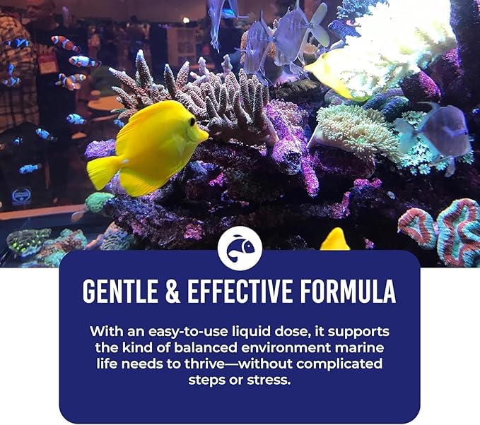 DrTim's Aquatics One and Only Saltwater (DrTim's Aquatics One and Only Saltwater 2oz)