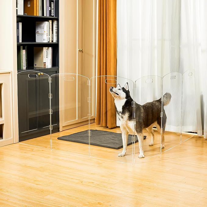 Modern Frame Clear Acrylic Freestanding Dog Gate - 32" Tall Extra-Wide Folding 6-Panel Pet Barrier for Doorways, Stairs & Large Openings, Indoor Fence for Small to Large Dogs & Cats