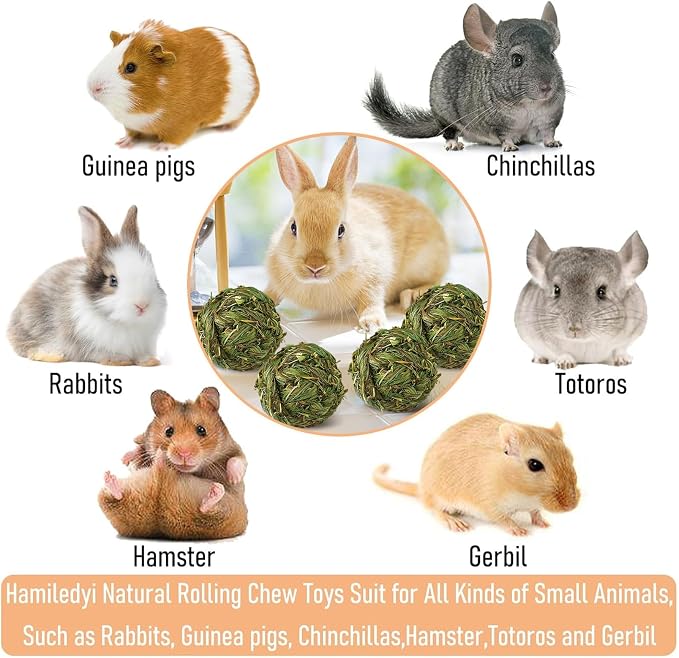 Hamiledyi 10 Pcs Rabbit Chew Ball Timothy Grass Ball Small Animal Activity Play Chew Toys Teeth Grinding for Bunny Rabbits Hamster Guinea Pigs Gerbils Chinchillas