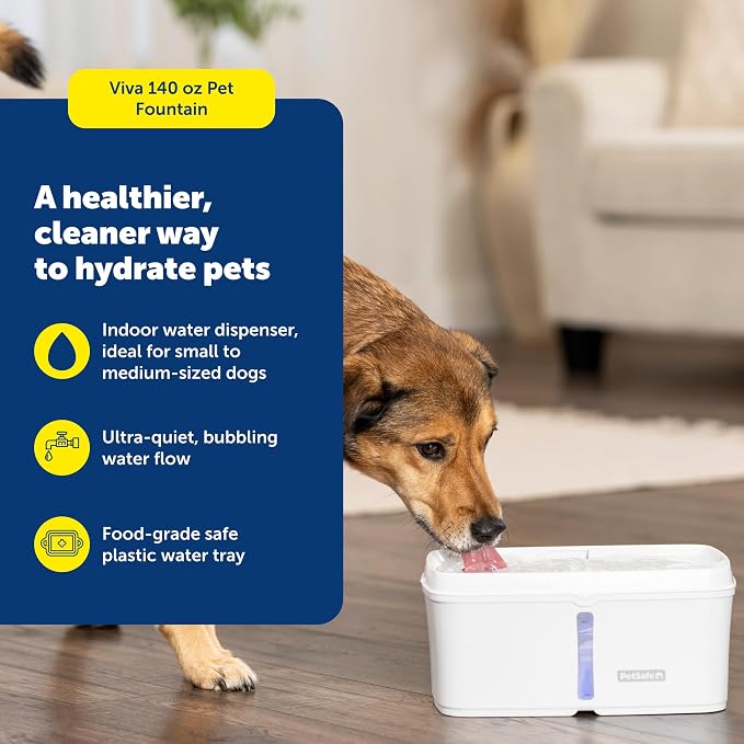 PetSafe Viva Pet Fountain for Cats and Dogs 4.1L/140 oz, Indoor Cat Water Fountain with Ultra Quiet Pump, Dishwasher Safe, Easy to Clean, Water Filters Included