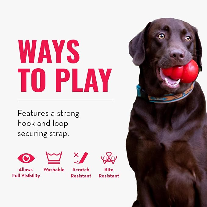 KONG Cloud E-Collar, Dog Collar, X-Large