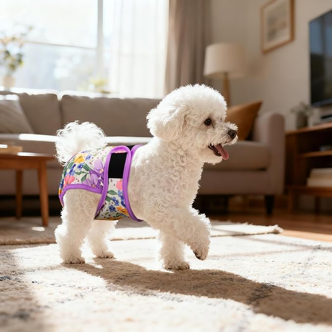 Washable Female Dog Diapers (5 Pack) - Doggie Reusable Small Medium Large Dog Diapers for Doggy Puppy Female in Period - Highly Absorbent Dog Heat Panties,S Plus,Green