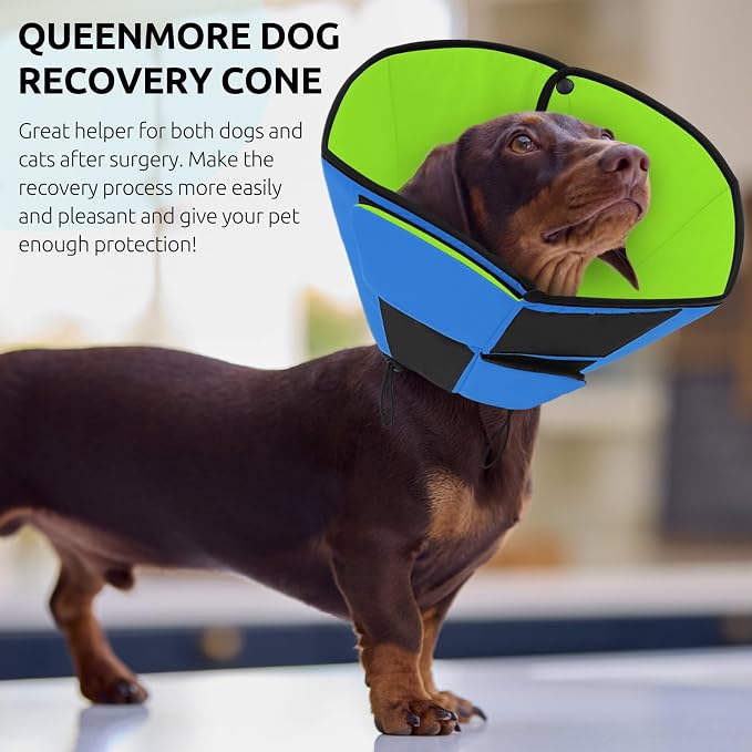 Queenmore Dog Cones for Medium Dogs, Soft Dog Cone Collar After Surgery, Pet Cone for Dogs Wound Care, Spay, Neuter, Breathable Pet Surgery Collars & Cones, Blue&Green M
