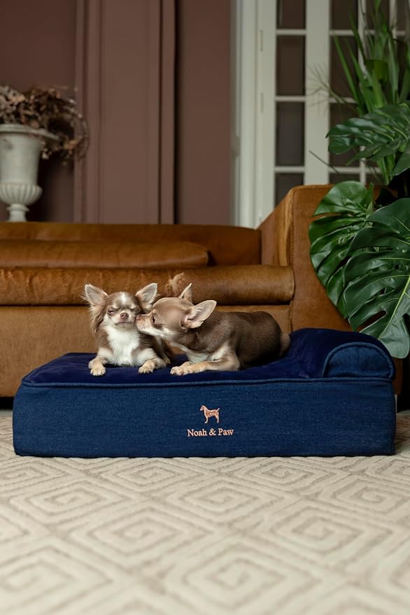 NOAH & PAW Dog Bed, 28x23x7.5 Inch, Orthopedic Dog Beds for Medium Size Pets, Eggshell Memory Foam Infused with Cooling Gel, Water Resistant, Machine Washable, Includes Inner Cover (Denim Collection)