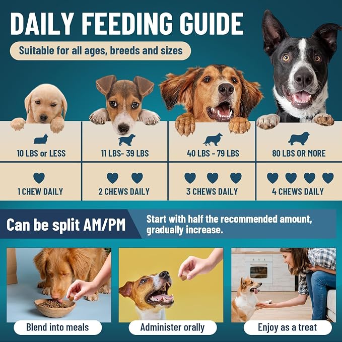 Dog Probiotics Chews + No Chew Spray for Dogs – Digestive & Behavior Support Bundle, Natural Gut Health Soft Chews with Probiotics & Enzymes and Bitter Apple Spray to Stop Chewing, Indoor & Outdoor Ca