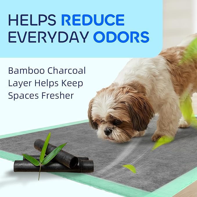 Pawtasy Charcoal Dog Pee Pads, 50 Count,22" x 22" Small Disposable Puppy Training Pads with Bamboo Charcoal Odor Control, 5-Layer Super Absorbent & Leak-Proof Pet Potty Pads for Dogs, Cats & Pets