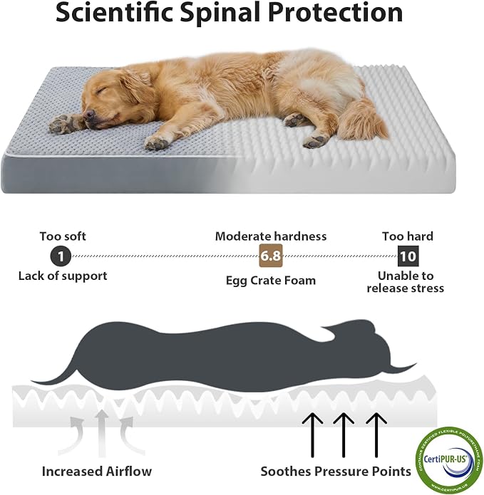 LEXTRO Giant Waterproof Orthopedic Dog Bed for Large Size Dogs, 55x42 Oversized Dog Bed Washable with Removable Washable Cover, Big Comfortable Dogs Mat, Gray
