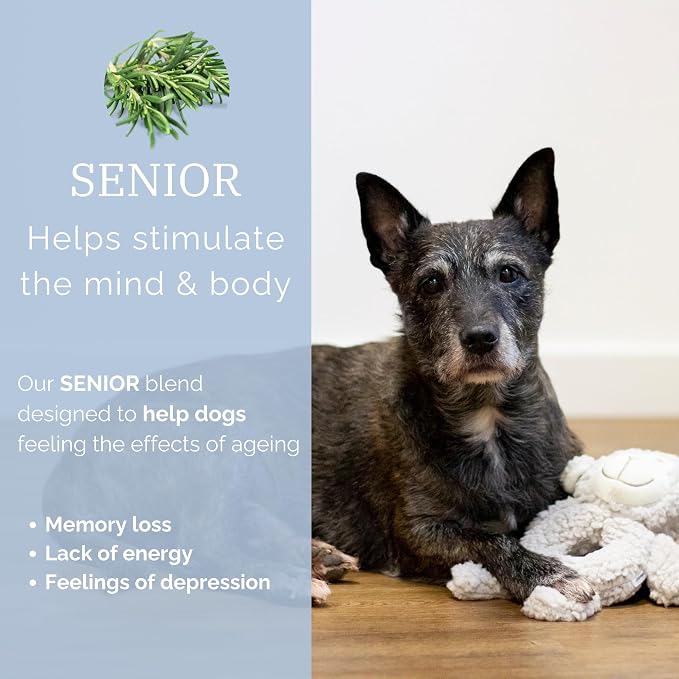 Senior Fleece Ring Body, Calming Lavender Dog Toy for Senior Dogs, Grey, 19cm x 23cm